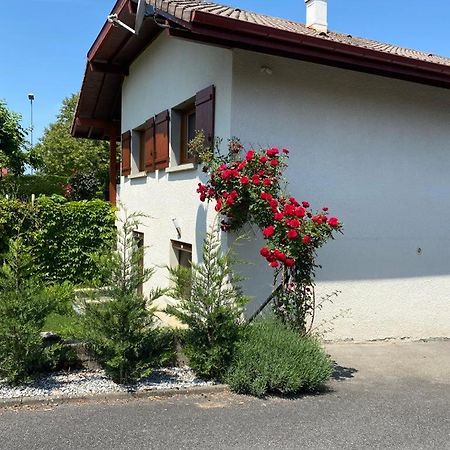 Chez Patrick Et Dominique Apartment Saint-Pierre-en-Faucigny ภายนอก รูปภาพ
